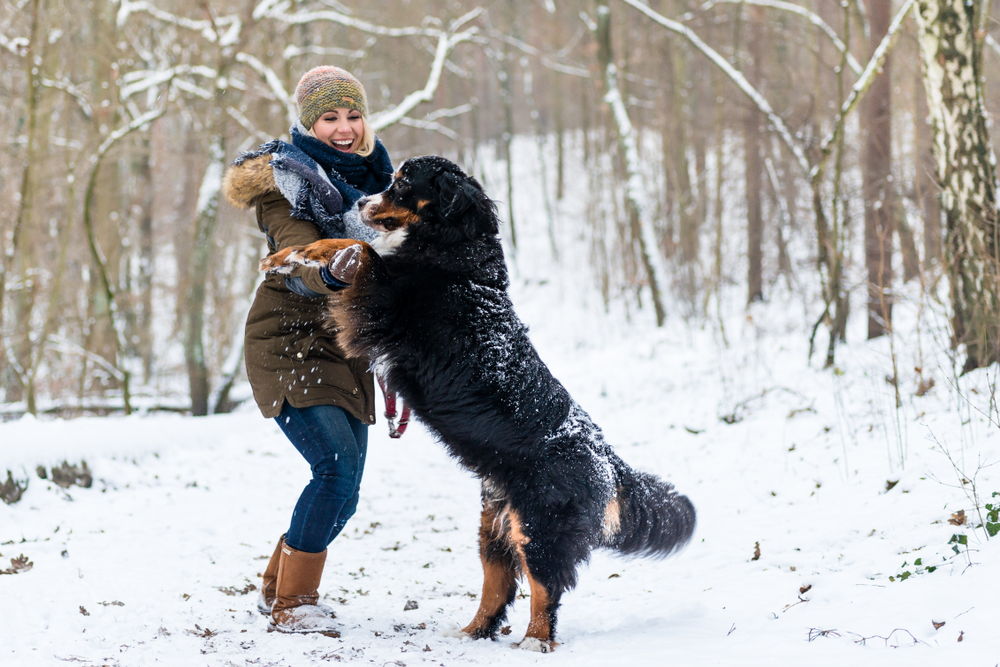 djevoka i pas u snijegu