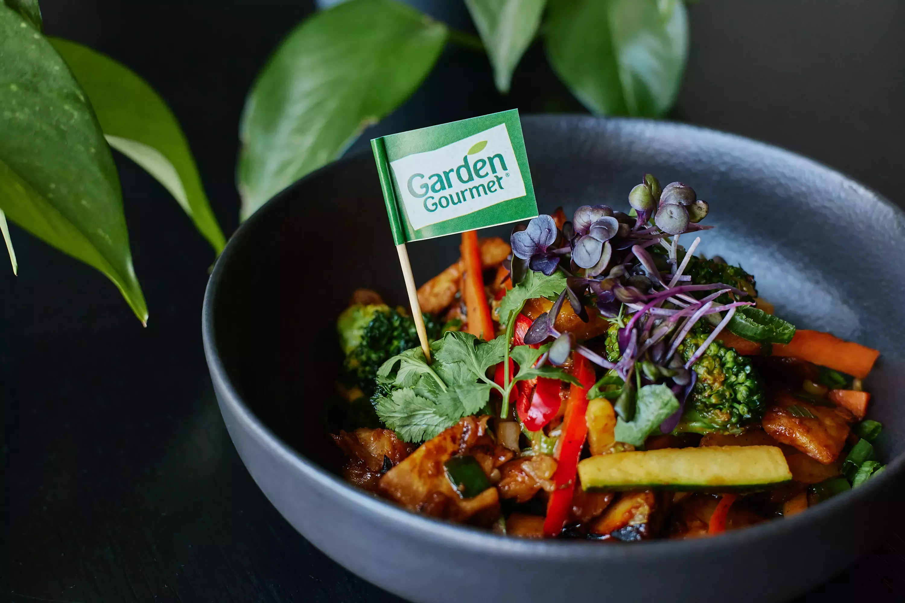 garden gourmet stir fry wok
