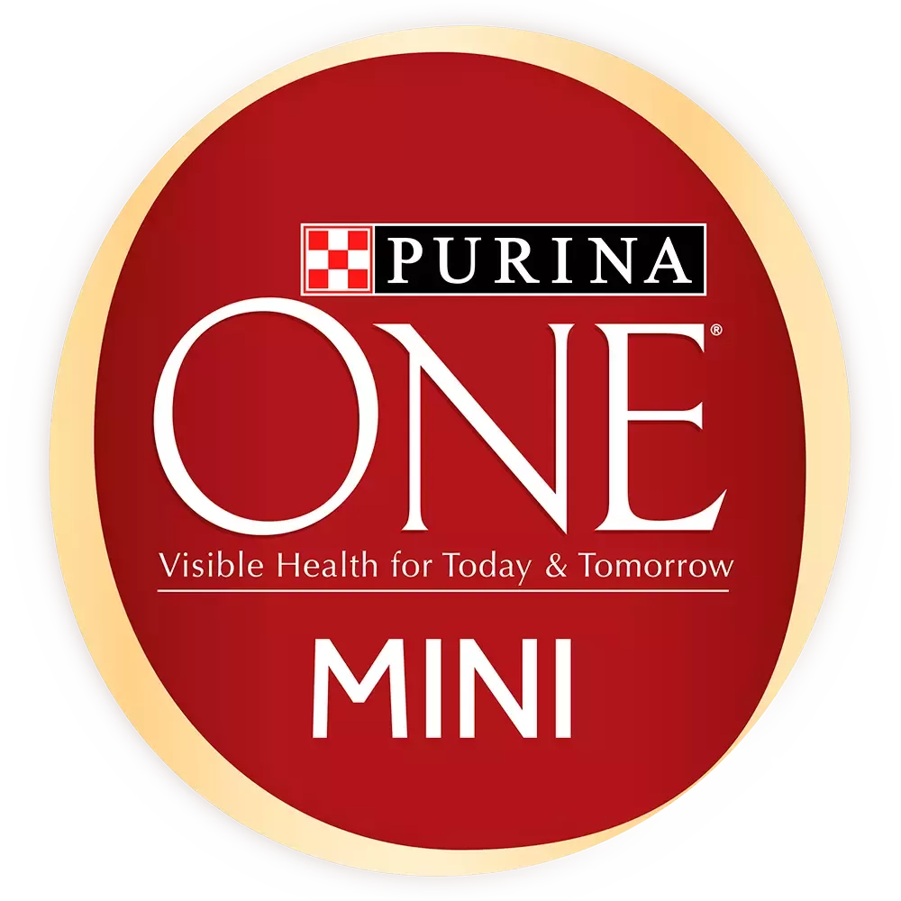 Purina One